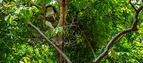 Butterfly Garden and Campus birds