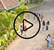 Video Gallery